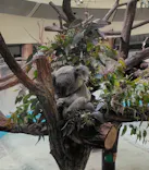 多摩動物公園に投稿された画像（2026/2/25）