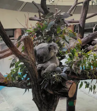 多摩動物公園に投稿された画像（2026/2/24）