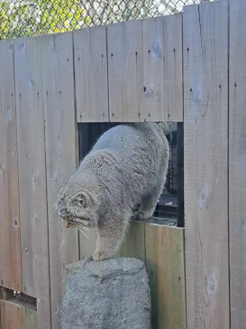 こども動物自然公園（埼玉県公園緑地協会）に投稿された画像（2026/2/24）