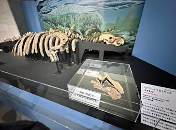 特別展「大絶滅展―生命史のビッグファイブ」に投稿された画像（2026/2/24）