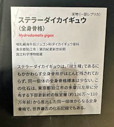 特別展「大絶滅展―生命史のビッグファイブ」に投稿された画像（2026/2/24）
