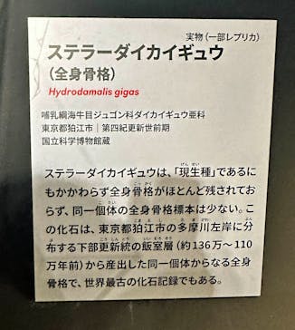 特別展「大絶滅展―生命史のビッグファイブ」に投稿された画像（2026/2/24）