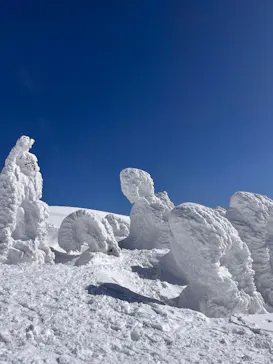 阿仁スキー場に投稿された画像（2026/2/24）