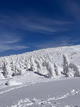 阿仁スキー場に投稿された画像（2026/2/24）