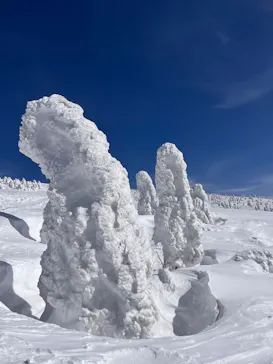 阿仁スキー場に投稿された画像（2026/2/24）