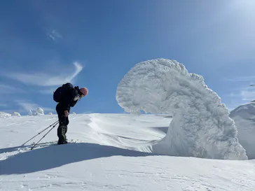 阿仁スキー場に投稿された画像（2026/2/24）