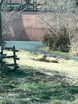多摩動物公園に投稿された画像（2026/2/24）