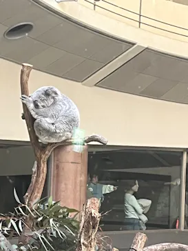 多摩動物公園に投稿された画像（2026/2/24）