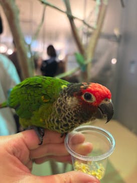 Moff animal cafe イオンモール幕張新都心店に投稿された画像（2026/2/25）