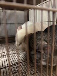 Moff animal cafe イオンモール幕張新都心店に投稿された画像（2026/2/25）