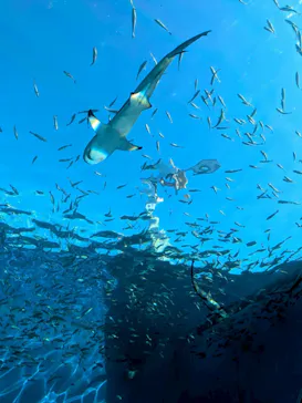 横浜・八景島シーパラダイスに投稿された画像（2026/2/25）