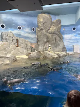 新江ノ島水族館に投稿された画像（2026/2/25）