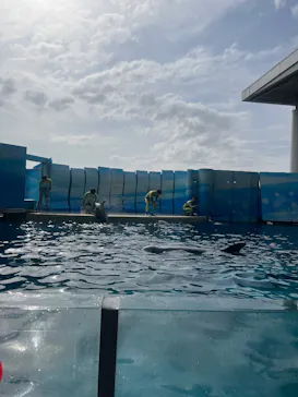新江ノ島水族館に投稿された画像（2026/2/25）