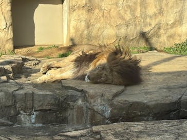 千葉市動物公園に投稿された画像（2026/2/25）