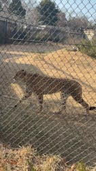 千葉市動物公園に投稿された画像（2026/2/25）