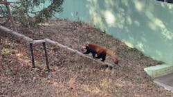 千葉市動物公園に投稿された画像（2026/2/25）