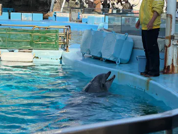 名古屋港水族館に投稿された画像（2026/2/25）