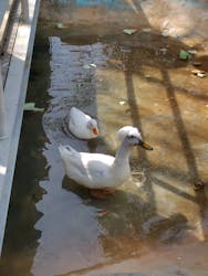 しろとり動物園に投稿された画像（2026/2/25）