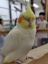 しろとり動物園に投稿された画像（2026/2/25）