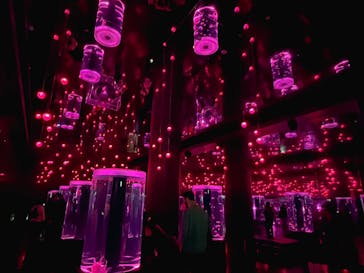 マクセル アクアパーク品川に投稿された画像（2026/2/25）