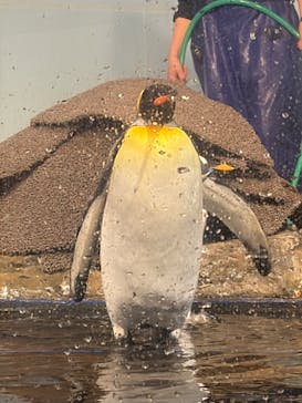 マクセル アクアパーク品川に投稿された画像（2026/2/25）