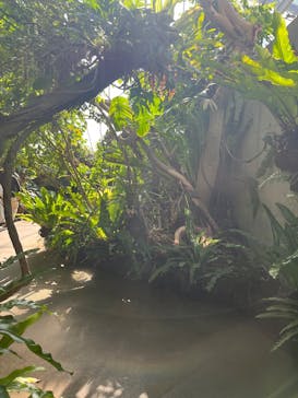 環境水族館アクアマリンふくしまに投稿された画像（2026/2/25）