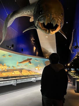 環境水族館アクアマリンふくしまに投稿された画像（2026/2/25）