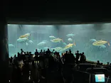 葛西臨海水族園に投稿された画像（2026/2/25）