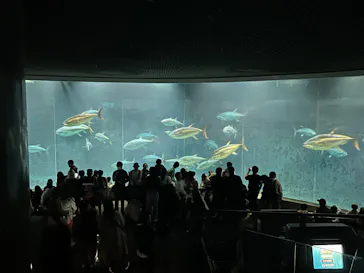 葛西臨海水族園に投稿された画像（2026/2/25）