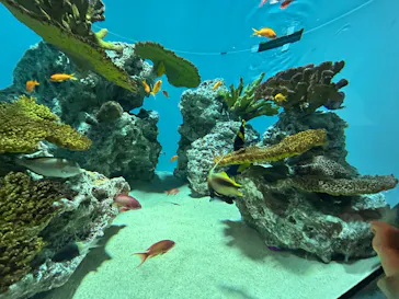 葛西臨海水族園に投稿された画像（2026/2/25）