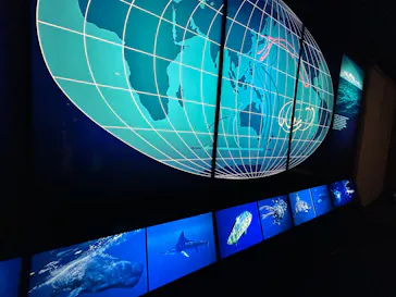 葛西臨海水族園に投稿された画像（2026/2/25）