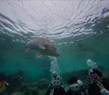 武藤潜水に投稿された画像（2026/2/25）