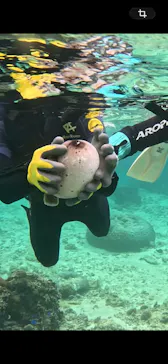 武藤潜水に投稿された画像（2026/2/25）