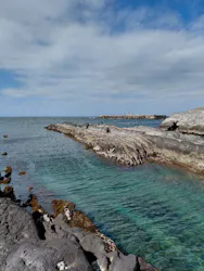 京急電鉄に投稿された画像（2026/2/25）