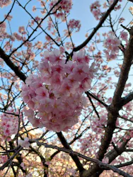 京急電鉄に投稿された画像（2026/2/25）