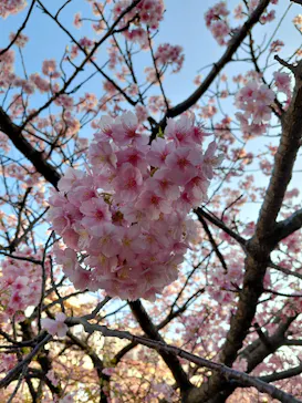 京急電鉄に投稿された画像（2026/2/25）