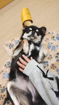 いぬカフェRio 広島店に投稿された画像（2026/2/25）