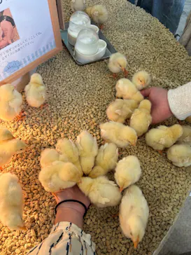 Moff animal cafe iias つくば店に投稿された画像（2026/2/25）