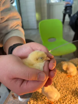 Moff animal cafe iias つくば店に投稿された画像（2026/2/25）