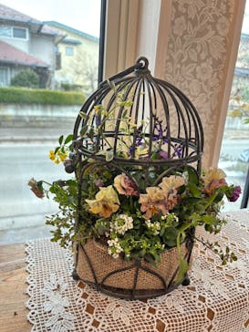 leaf&flower Scent of Gardeniaに投稿された画像（2026/2/25）