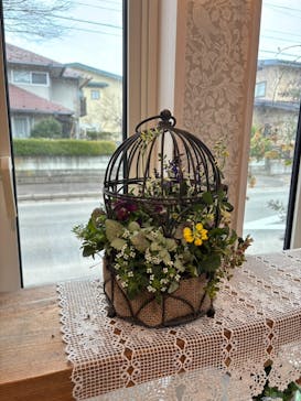 leaf&flower Scent of Gardeniaに投稿された画像（2026/2/25）