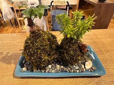 伊勢夫婦岩めおと横丁　めおと岩アクティビティに投稿された画像（2026/2/25）