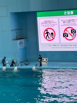 横浜・八景島シーパラダイスに投稿された画像（2026/2/25）