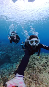 青の洞窟専門店　沖縄ダイビングショップ和に投稿された画像（2026/2/25）