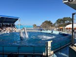 越前松島水族館に投稿された画像（2026/2/25）