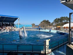 越前松島水族館に投稿された画像（2026/2/25）