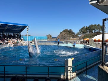 越前松島水族館に投稿された画像（2026/2/25）