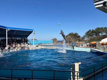 越前松島水族館に投稿された画像（2026/2/25）