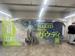NAKED meets ガウディ展に投稿された画像（2026/2/26）