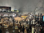 福井県立恐竜博物館に投稿された画像（2026/2/26）